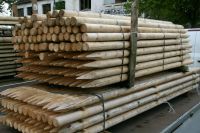 Zaunpfähle - Baumpfähle - Holz - 7 x 240 cm - nicht imprägniert - Niedersachsen - Wagenfeld Vorschau