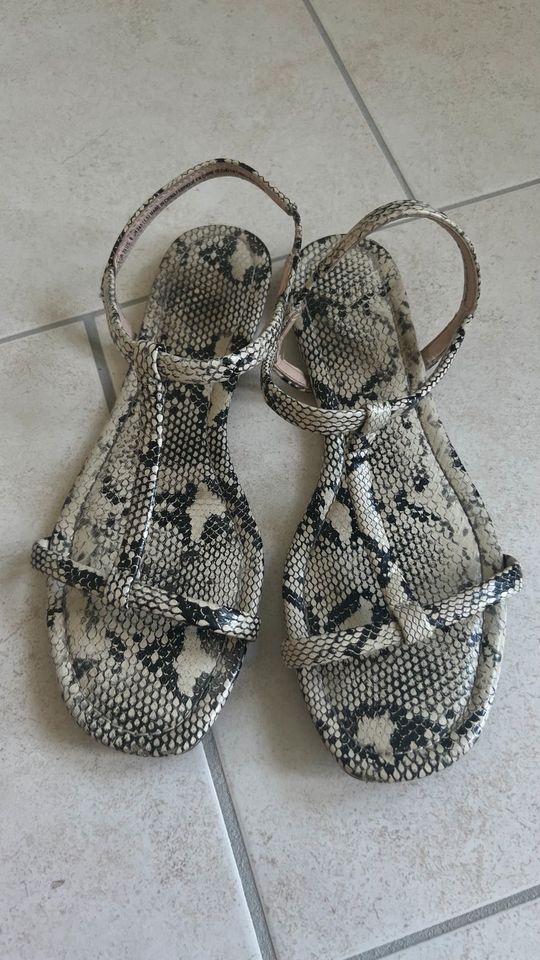 H&M Sandalen Muster Animal Print 39 Trend Style Urlaub in Dortmund