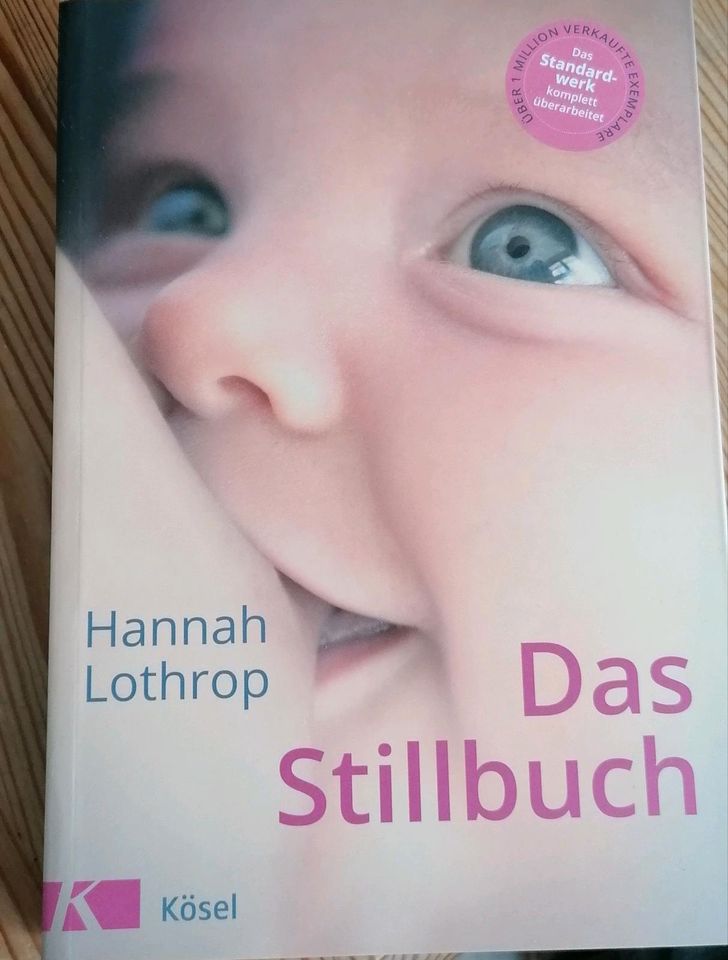 Das Stillbuch von Hannah Lothrop in Arnsberg