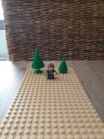Lego Der Herr der Ringe lor012 | Peregrin Took Pippin | Minifigur Thüringen - Treffurt Vorschau