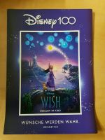 Disney 100 Kinofilm 2023 Plakat Wish A3 Promo Poster Brandenburg - Potsdam Vorschau