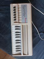 Bontempi Orgel B3 Elektrisches Keyboard Windorgan mit 6 Akkorden Niedersachsen - Hildesheim Vorschau