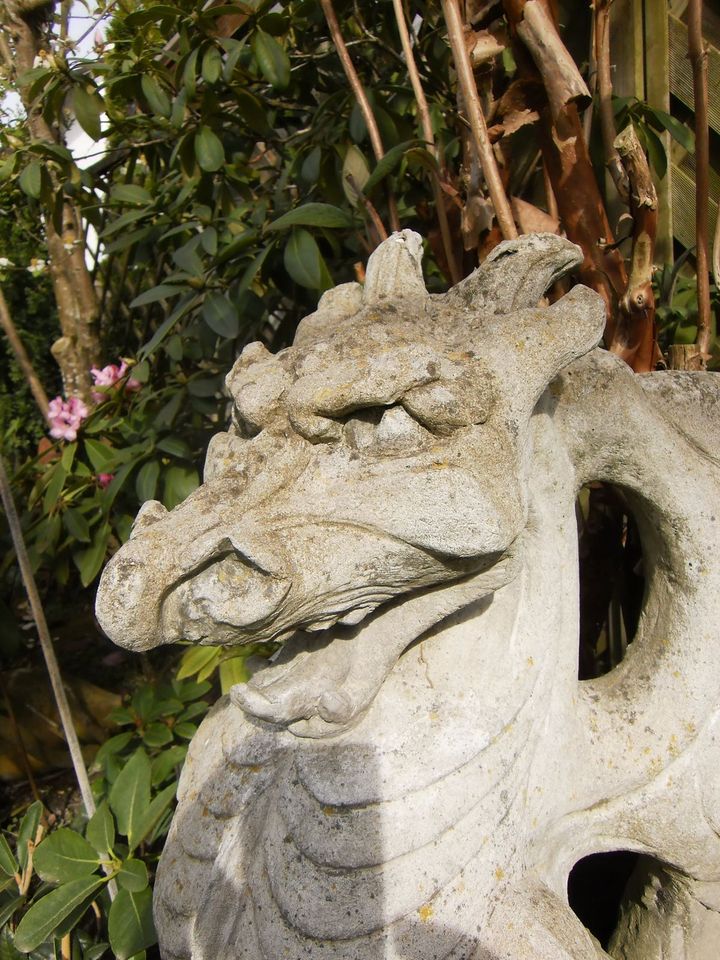 Drache Gargoyle Steinfigur Figur Skulptur massiv schwer groß in Mauern