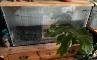 Aquarium / Terrarium 80cm Sachsen - Wilsdruff Vorschau