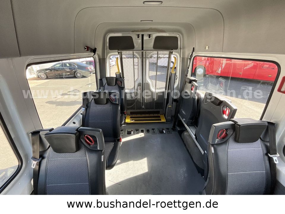 Mercedes-Benz 313 CDI Sprinter/ 9 Sitze/ Behindertengerecht in Untersteinach