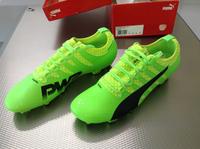 Puma Fußballschuhe evoPOWER Vigor 2 FG in Größe 47 neu OVP Nordrhein-Westfalen - Höxter Vorschau