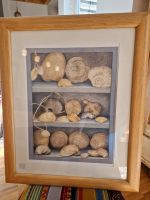 Muscheln Holz Bilderrahmen Schleswig-Holstein - Reinbek Vorschau