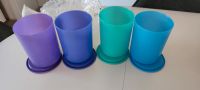 Tupperware Bingo 1,25 l Neuware Set Niedersachsen - Oyten Vorschau