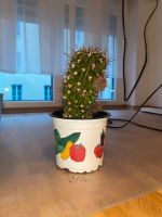 Kaktus der ein mal im Jahr blüht München - Laim Vorschau