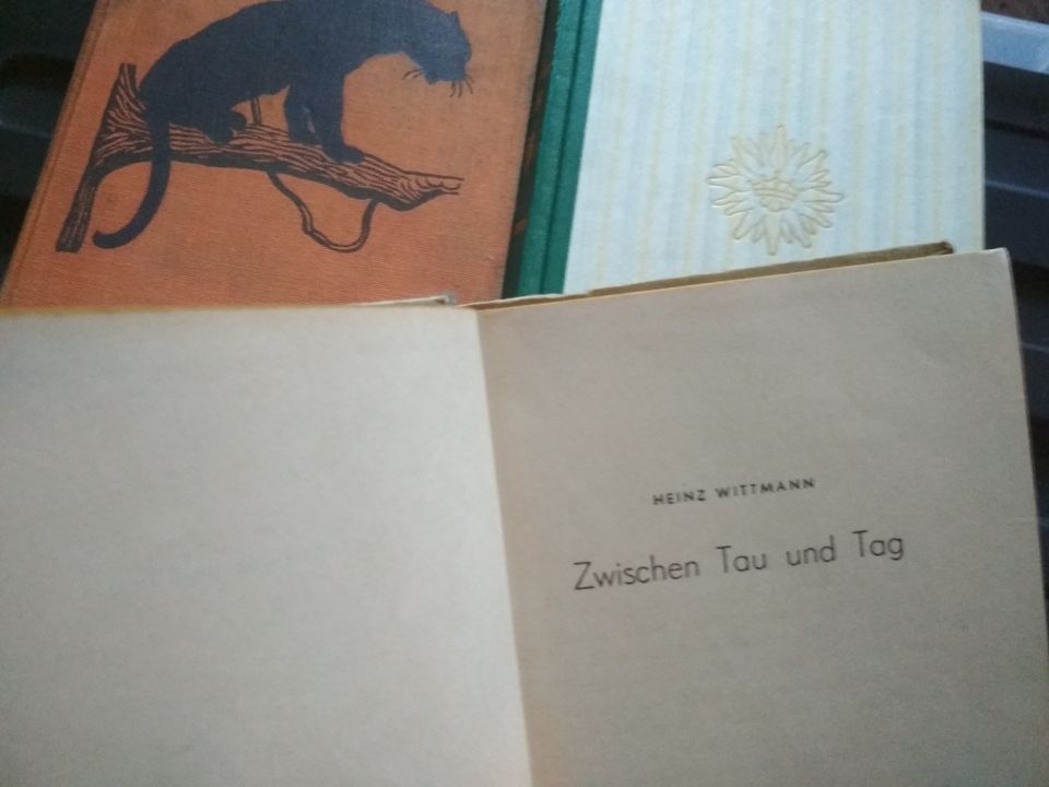 Das Dschungelbuch   Edelweißkönig   Zwischen Tau und Tag in Marienberg