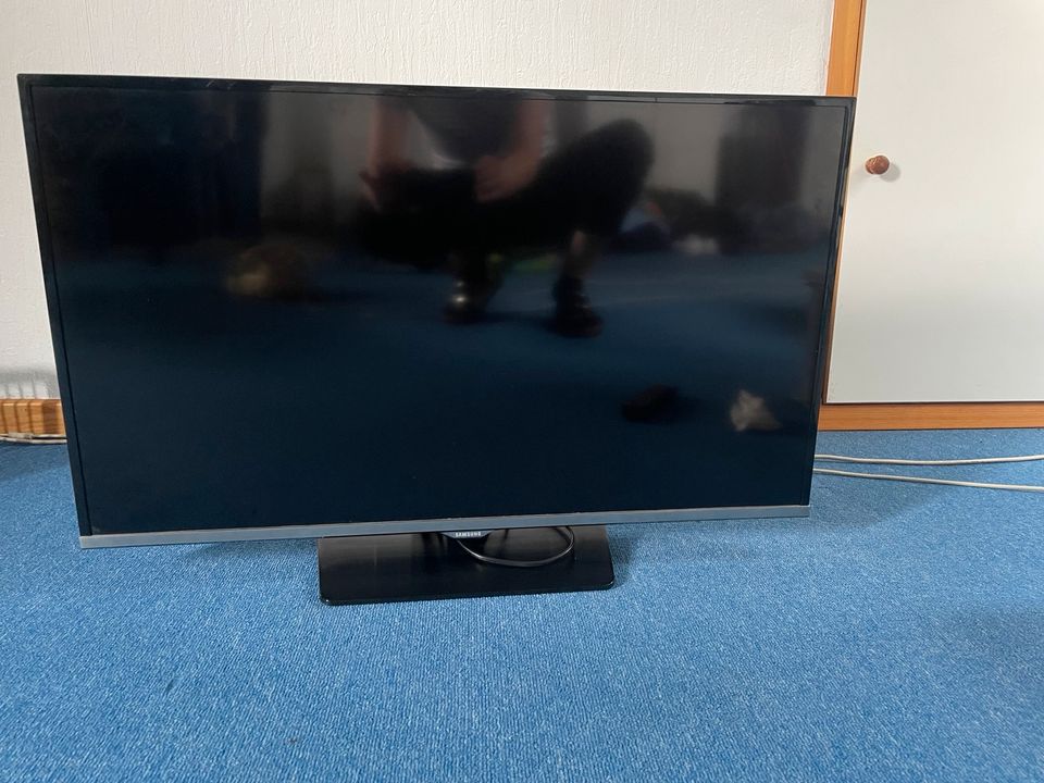 Samsung Full HD TV in Holzbunge