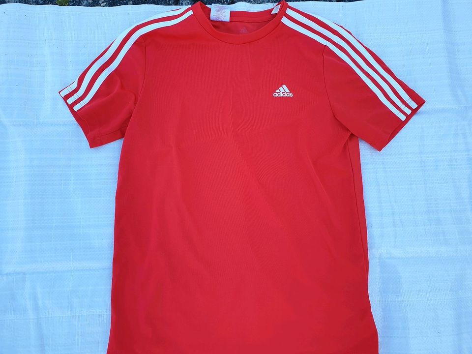 Sportshirt von Adidas in Größe 164 in Wabern