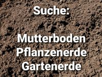 Suche: Mutterboden Pflanzenerde Gartenerde Erde Findorff - Weidedamm Vorschau