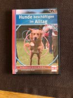 DVD Hunde beschäftigen im Alltag von Gabriele Niepel Nordrhein-Westfalen - Ennepetal Vorschau