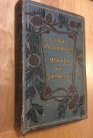 Wolken und Sunn‘schein, Ludwig Anzengruber, altes Buch von 1901 Sachsen-Anhalt - Möser Vorschau