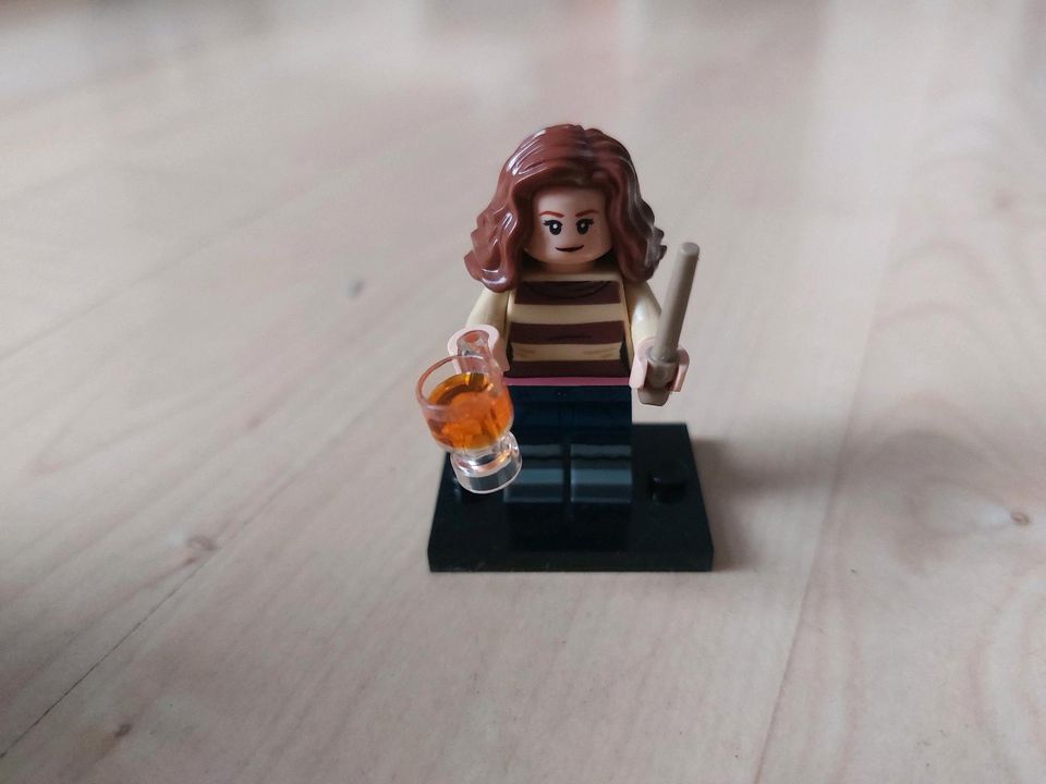 Lego Minifiguren Harry Potter in Nürtingen