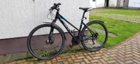 Fahrrad zu verkaufen Brandenburg - Luckaitztal Vorschau