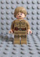 Lego Star Wars Luke Skywalker sw0971 Baden-Württemberg - Schömberg b. Württ Vorschau