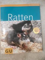 Rattenhaltung und Pflege Baden-Württemberg - Hermaringen Vorschau