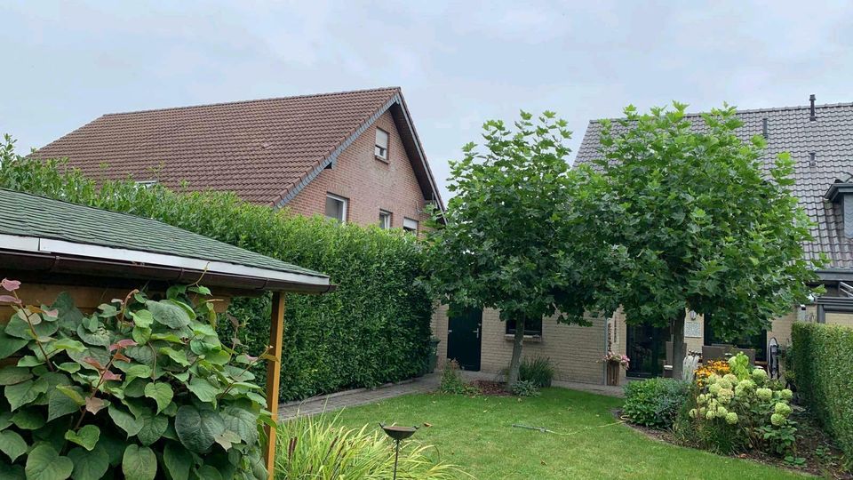 Garten Heckenschnitt schneiden Grünschnitt Sträucher Gärtner in Kleve