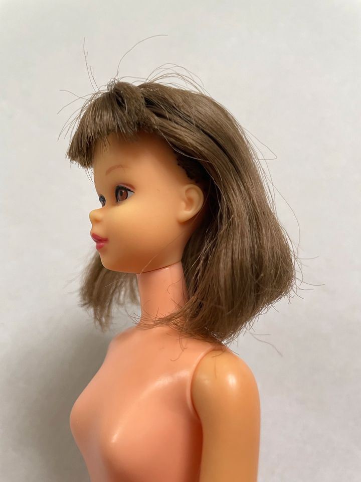 Barbie Francie Standard Brown Hair Braune Haare in Wunstorf