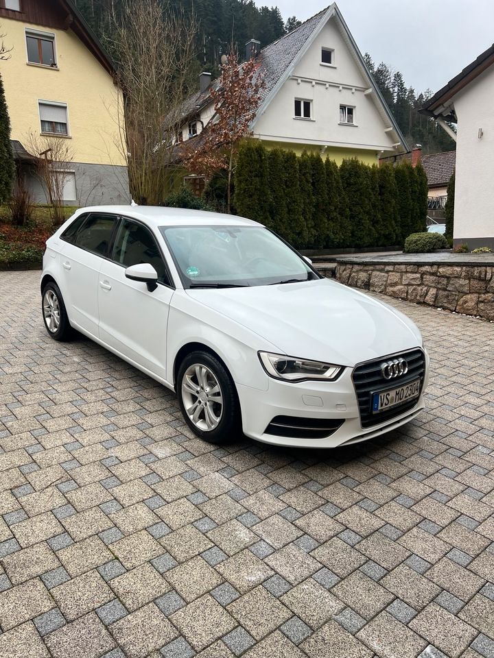 Auto Aufbereitung Auto Pflege Auto Reinigung Politur in Hornberg