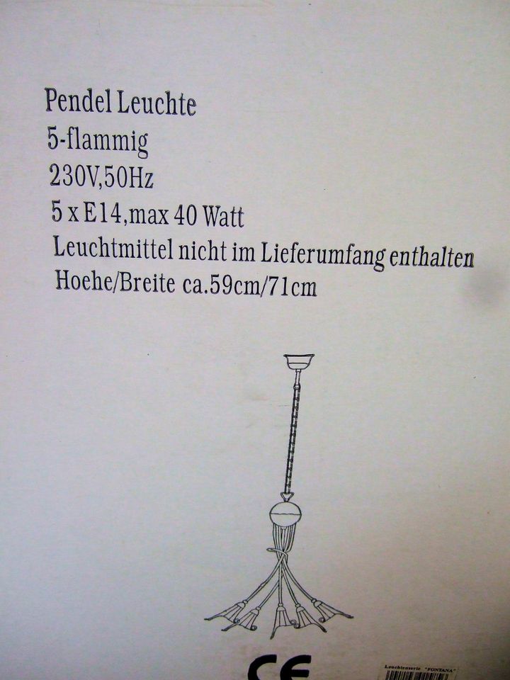 Kronleuchter und Tischlampe, Tulpenform, Fontana Marc B. in Bocholt