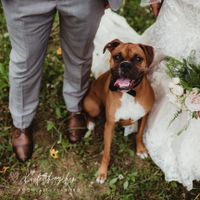 Wedding Day Manager / Hochzeitsplaner / Tagesbegleitung Nordrhein-Westfalen - Marl Vorschau