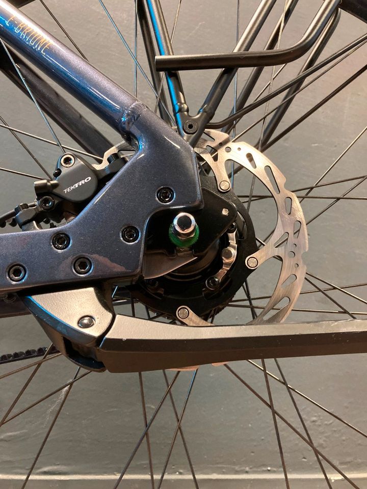 Stevens E-Brione Forma Shimano Inter 5 Rücktritt Riemen Bosch in Seeheim-Jugenheim