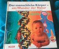 Der menschliche Körper - ein Wunder der Natur Rheinland-Pfalz - Schmitshausen Vorschau