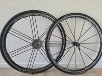 LRS Laufradsatz Räder Campagnolo EURUS G3 Clinchers Mitte - Tiergarten Vorschau