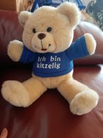 Neu..Teddy mit mit Jacke...ca 40cm groß Bayern - Wernberg-Köblitz Vorschau