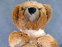 Sigikid Kuscheltier Teddy Wuppertal - Langerfeld-Beyenburg Vorschau