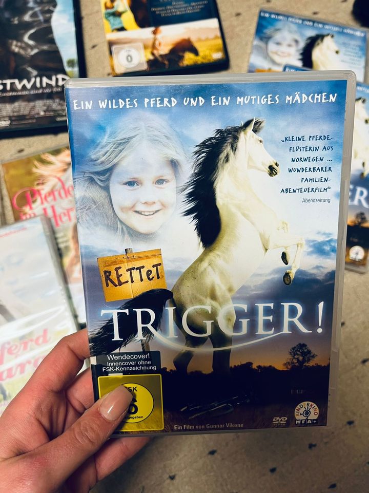 Pferde Packet (Bücher,Filme) in Niederkrüchten