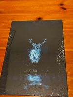 DISPLATE Metallposter Harry Potter Patronuszauber Pankow - Prenzlauer Berg Vorschau