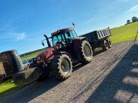 Transporte aller Art: Aushub, Boden, Erde, Kies, Garten uvm Bayern - Roggenburg Vorschau