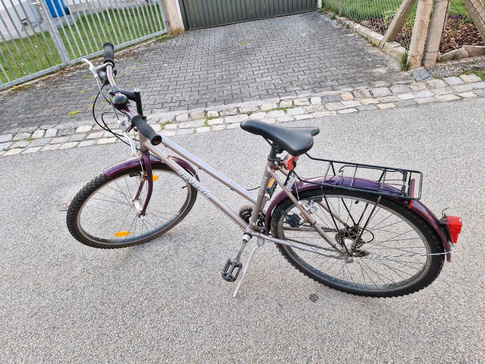 Damen Fahrrad in Landau a d Isar