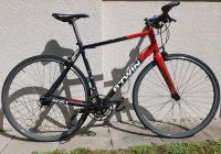 Decathlon Road Bike/Hybrid Bike: TRIBAN 520 FB, Größe L Berlin - Köpenick Vorschau