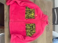 Nike ACG Fleece Jacke Rush Pink / Größe L / Neuwertig Chemnitz - Glösa-Draisdorf Vorschau