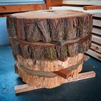 Baumscheiben Holzscheiben Robinie Deko Epoxid epoxy Thüringen - Stadtroda Vorschau