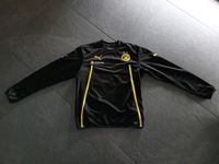 Puma BVB 2 Sterne Langarmshirt Grösse S Nordrhein-Westfalen - Oer-Erkenschwick Vorschau