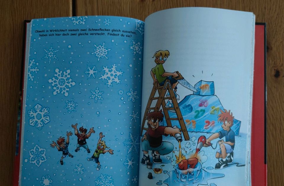 Die drei Fragezeichen Der Adventskalender 24 Tage im Eis Buch in Bous