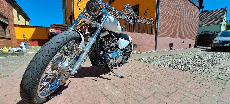 Harley Davidson Spotster in Löwenberger Land-Löwenberg