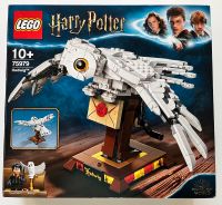 Lego-Set 75979 Hedwig aus der Harry Potter Serie München - Bogenhausen Vorschau