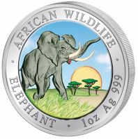 Silbermünze African Wildlife Somalia Elefant 2009 color 1Oz top! Sachsen - Mittweida Vorschau