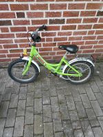 Puky Fahrrad 16 Zoll Nordrhein-Westfalen - Everswinkel Vorschau