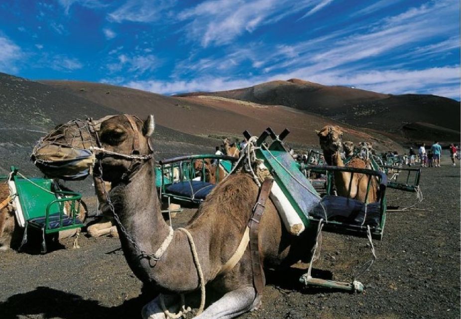 Urlaub Sand Kanaren Insel Lanzarote  Tias Spanien in München