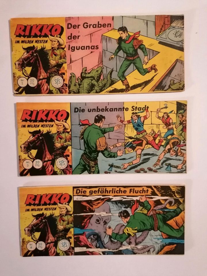 Rikko Piccolo Lehning Comic in Isselburg