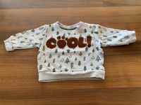 Baby-Pullover mit Tannenbäumen von Ergee - Größe 68 Hessen - Erlensee Vorschau