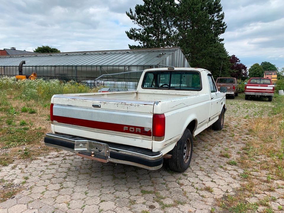 Ford F-150 5.0 Efi 2WD Longbed super Blech in Soest